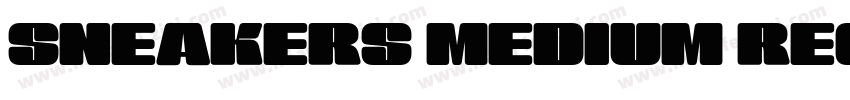 SNEAKERS MEDIUM REGULAR字体字体转换